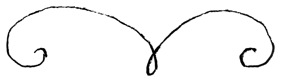 Les petits noctambules à la bibli 1 VOLUTE8